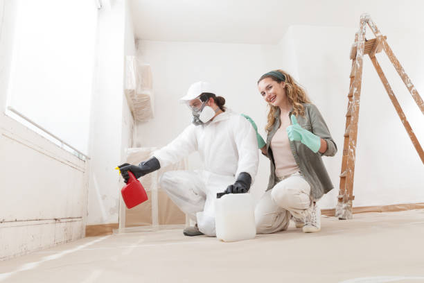 Professional Mold Removal in Stallings, NC